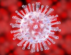 Individuelles Long-COVID-Screening 